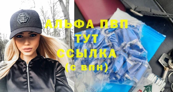индика Михайлов