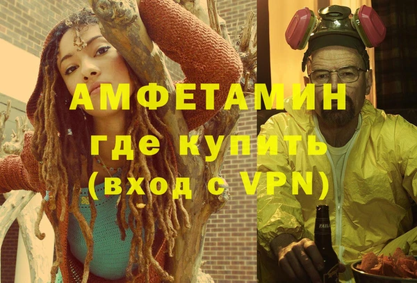 индика Михайлов