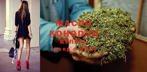 индика Михайлов