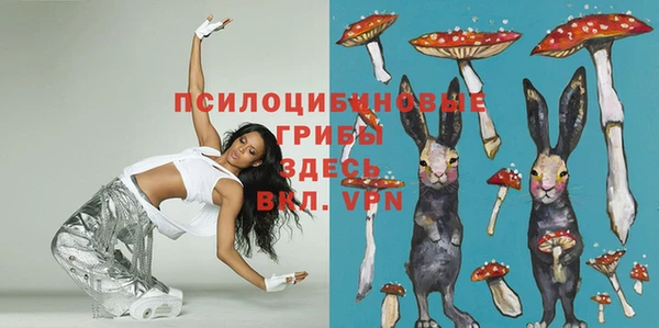 индика Михайлов