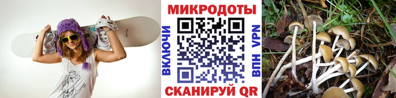 цена   Спасск-Рязанский  Галлюциногенные грибы мицелий 