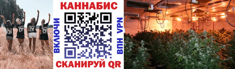Конопля SATIVA & INDICA  Спасск-Рязанский 
